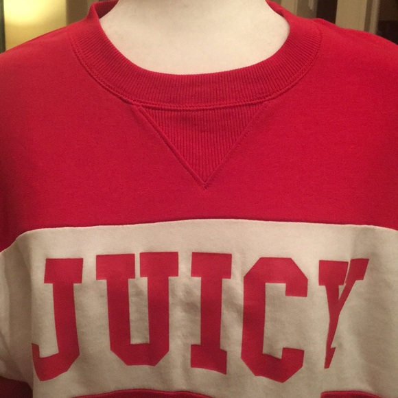 Juicy Couture Colorblock Sweatshirt in Large - Picture 8 of 16